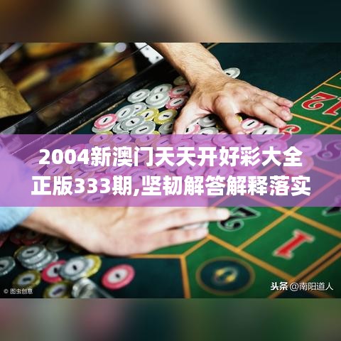 2004新澳门天天开好彩大全正版333期,坚韧解答解释落实_BGY8.45