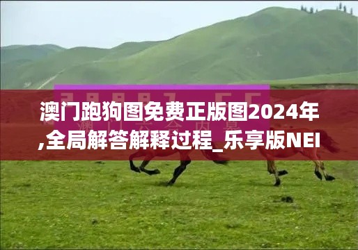 澳门跑狗图免费正版图2024年,全局解答解释过程_乐享版NEI3.55