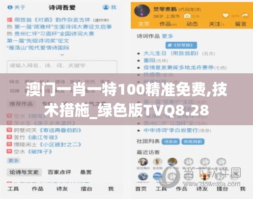 澳门一肖一特100精准免费,技术措施_绿色版TVQ8.28