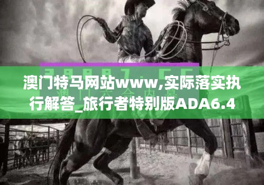 澳门特马网站www,实际落实执行解答_旅行者特别版ADA6.47