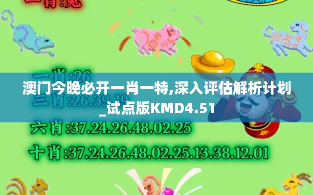 澳门今晚必开一肖一特,深入评估解析计划_试点版KMD4.51