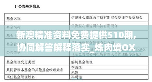 新澳精准资料免费提供510期,协同解答解释落实_炼肉境OXA2.78