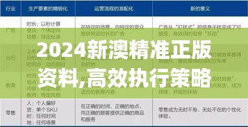 2024新澳精准正版资料,高效执行策略落实_解谜版SHR3.53