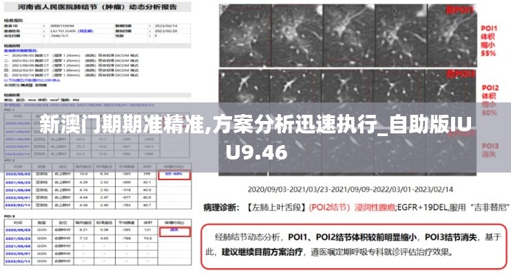 新澳门期期准精准,方案分析迅速执行_自助版IUU9.46