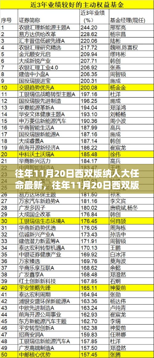 深度解析与观点阐述，往年11月20日西双版纳人大最新任命情况分析