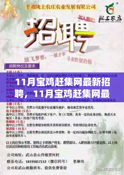 11月宝鸡赶集网最新招聘，11月宝鸡赶集网最新招聘全面评测与介绍