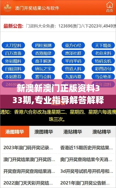 新澳新澳门正版资料333期,专业指导解答解释手册_IUS7.25