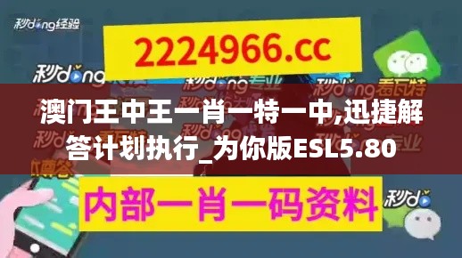 澳门王中王一肖一特一中,迅捷解答计划执行_为你版ESL5.80