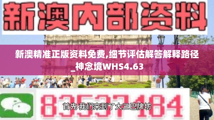 新澳精准正版资料免费,细节评估解答解释路径_神念境WHS4.63