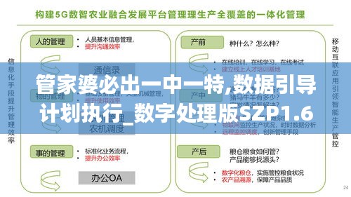 管家婆必出一中一特,数据引导计划执行_数字处理版SZP1.65