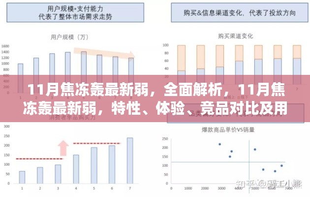 11月焦冻轰最新弱，全面解析，11月焦冻轰最新弱，特性、体验、竞品对比及用户群体分析