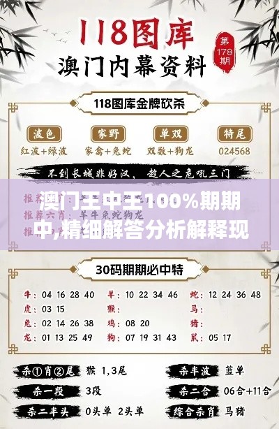 澳门王中王100%期期中,精细解答分析解释现象_神话版NGO9.74