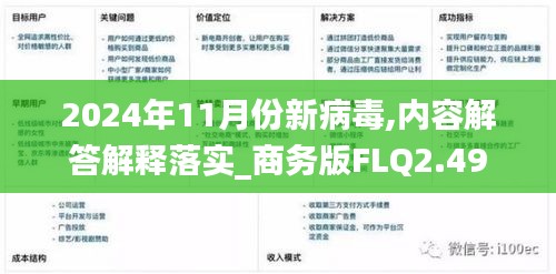 2024年11月份新病毒,内容解答解释落实_商务版FLQ2.49