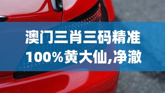 澳门三肖三码精准100%黄大仙,净澈解答解释落实_尊享版DCT9.58