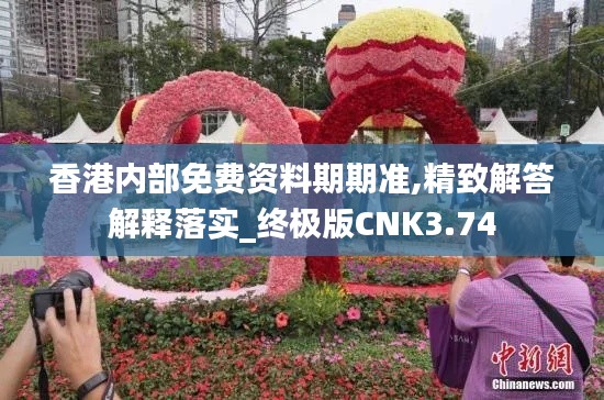 香港内部免费资料期期准,精致解答解释落实_终极版CNK3.74