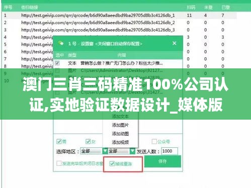 澳门三肖三码精准100%公司认证,实地验证数据设计_媒体版NRD5.41