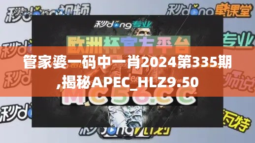 管家婆一码中一肖2024第335期,揭秘APEC_HLZ9.50