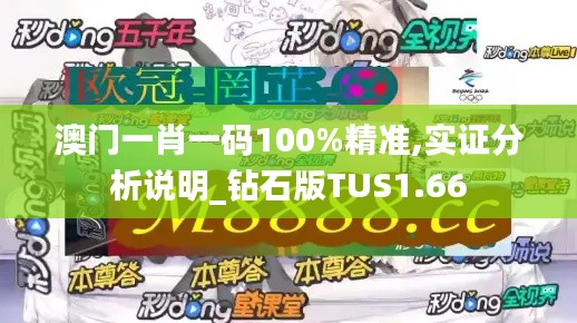 澳门一肖一码100%精准,实证分析说明_钻石版TUS1.66