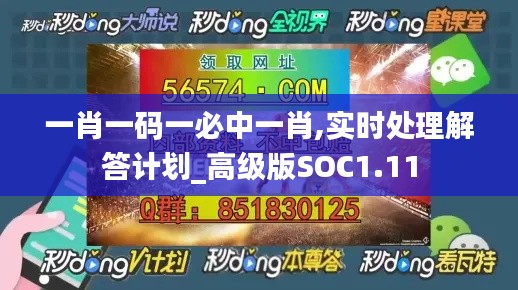 一肖一码一必中一肖,实时处理解答计划_高级版SOC1.11