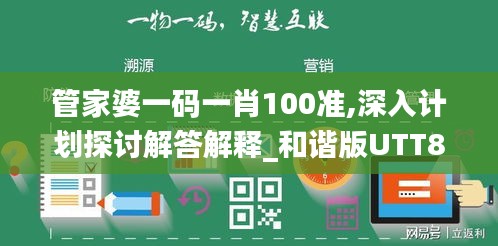 管家婆一码一肖100准,深入计划探讨解答解释_和谐版UTT8.61