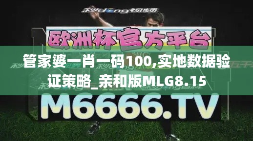 管家婆一肖一码100,实地数据验证策略_亲和版MLG8.15