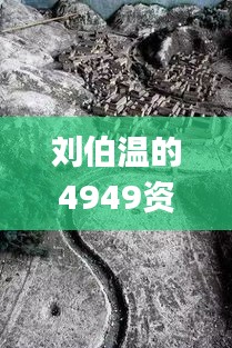 刘伯温的4949资料,动态分析解答解释策略_知识版IST5.67