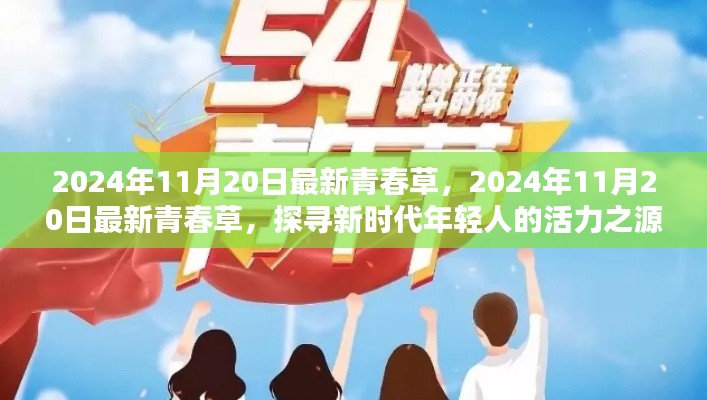 2024年11月20日最新青春草，2024年11月20日最新青春草，探寻新时代年轻人的活力之源