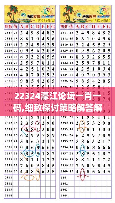 22324濠江论坛一肖一码,细致探讨策略解答解释_核心版IES2.36