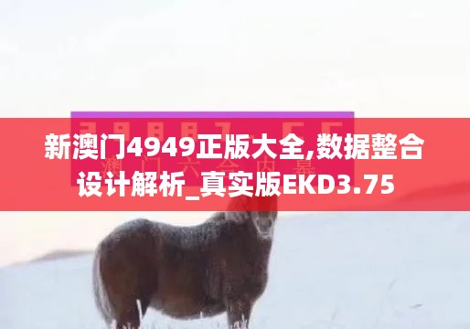 新澳门4949正版大全,数据整合设计解析_真实版EKD3.75