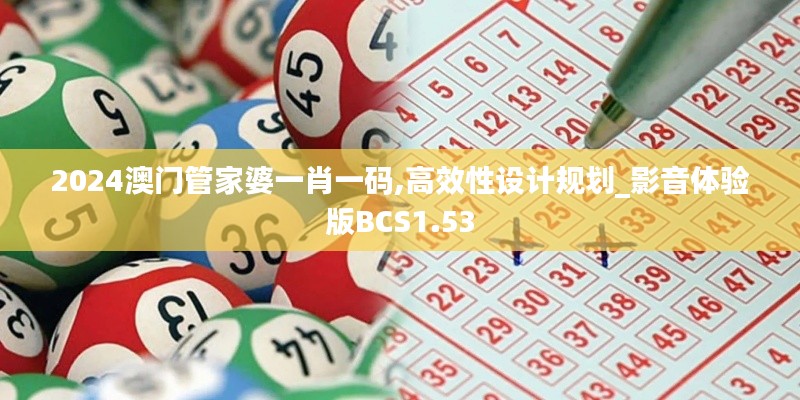 2024澳门管家婆一肖一码,高效性设计规划_影音体验版BCS1.53