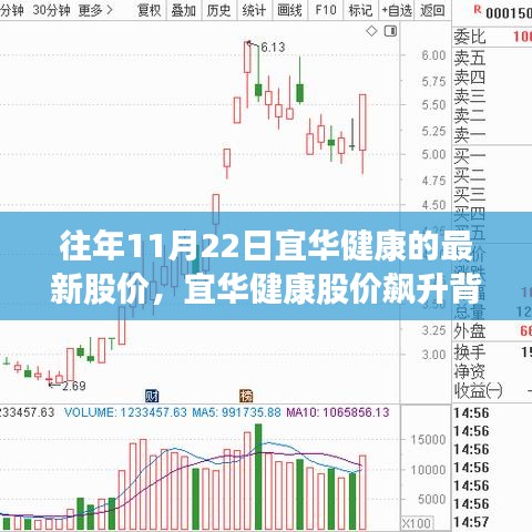 宜华健康股价飙升背后的故事，变化、学习与自信的力量历年分析（最新股价）