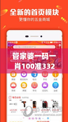 管家婆一码一肖100准332期,全面剖析解答解释问题_MLE6.20