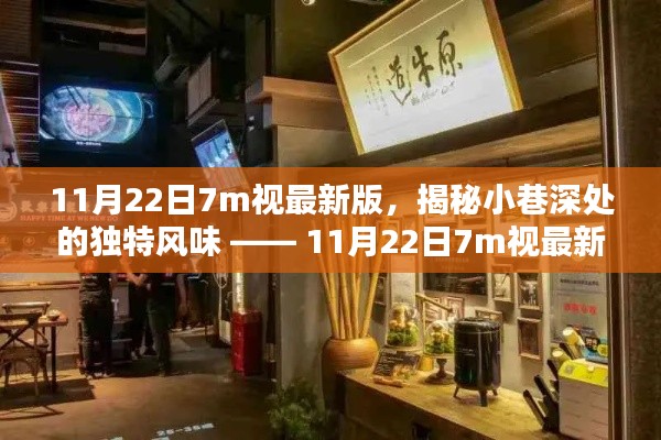 11月22日7m视最新版，探寻小巷深处的独特风味，带你发现隐藏版特色小店