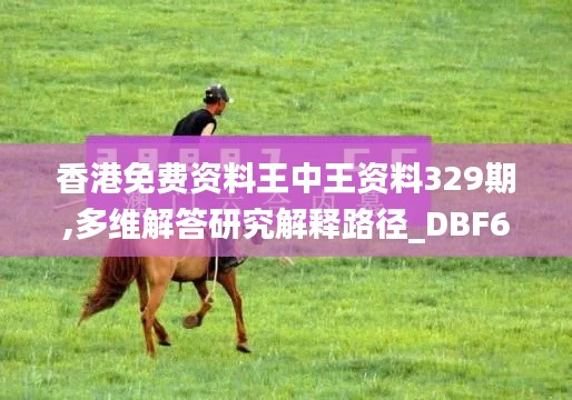 香港免费资料王中王资料329期,多维解答研究解释路径_DBF6.28