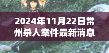 2024年11月22日常州杀人案件最新消息，揭秘常州杀人案，如何追踪最新消息与应对突发事件