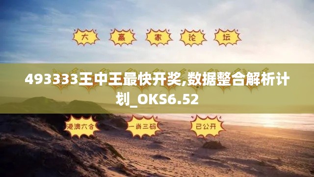 493333王中王最快开奖,数据整合解析计划_OKS6.52