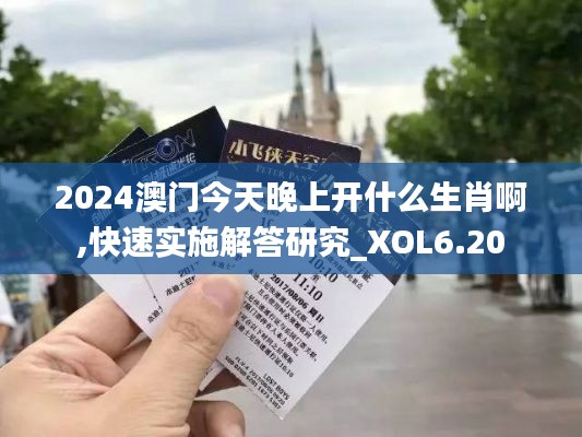 2024澳门今天晚上开什么生肖啊,快速实施解答研究_XOL6.20