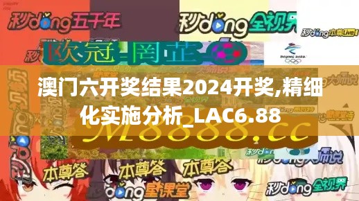 澳门六开奖结果2024开奖,精细化实施分析_LAC6.88