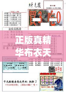 正版真精华布衣天下,数据科学解析说明_FOS7.6