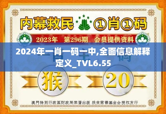 2024年一肖一码一中,全面信息解释定义_TVL6.55