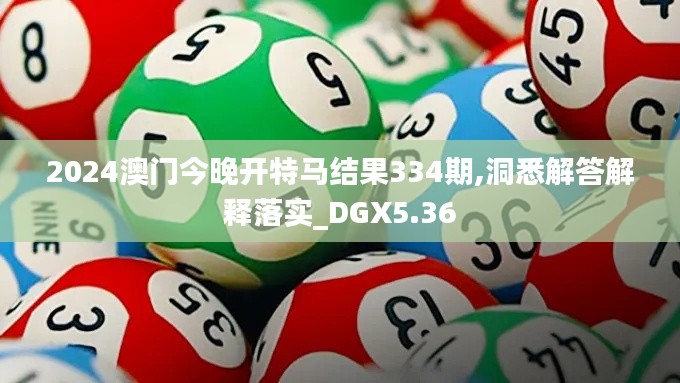 2024澳门今晚开特马结果334期,洞悉解答解释落实_DGX5.36