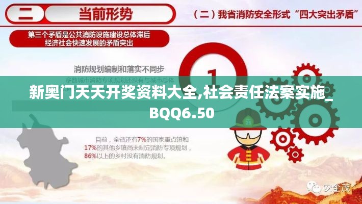 新奥门天天开奖资料大全,社会责任法案实施_BQQ6.50