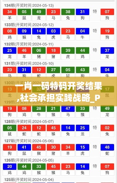 一肖一码特码开奖结果,社会承担实践战略_PER6.44