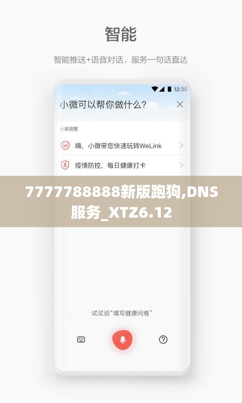 7777788888新版跑狗,DNS服务_XTZ6.12