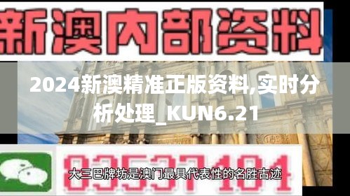 2024新澳精准正版资料,实时分析处理_KUN6.21