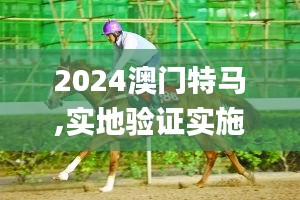 2024澳门特马,实地验证实施_XET7.16