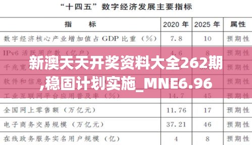 新澳天天开奖资料大全262期,稳固计划实施_MNE6.96