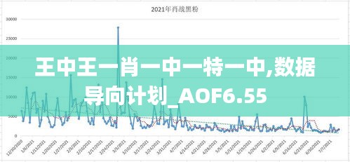 王中王一肖一中一特一中,数据导向计划_AOF6.55