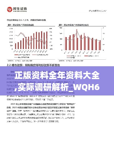 正版资料全年资料大全,实际调研解析_WQH6.34