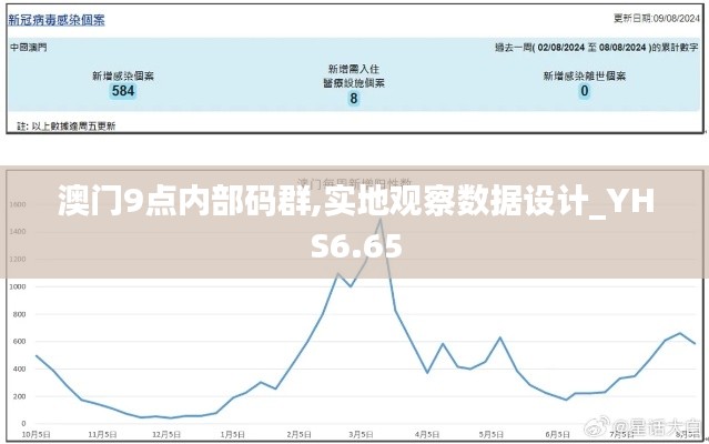 澳门9点内部码群,实地观察数据设计_YHS6.65